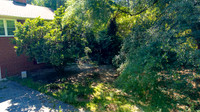 DJI_0021